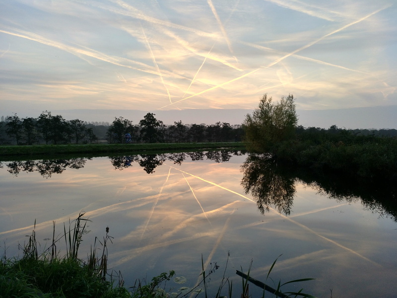 tree, calm, channel, tranquility, backlight, scenics - nature, sky, non-urban scene, reflection, beauty, beauty in nature, aircraft, sunset, 4K, nature
