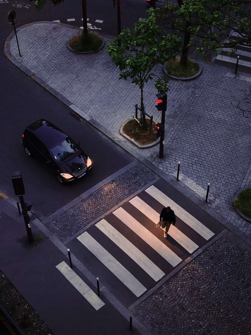 road, 4K, sign, transportation, architecture, flora, pedestrian, paris, crosswalk, 46 rue riquet, nature, vase, france, high angle view, footpath, tree