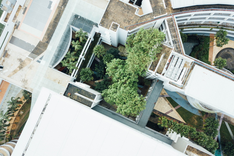 roof top, aerial, garden, white, pottery, building, from above, jar, reflection, garden roof, garden top, building exterior, planter, potted plant, mountains