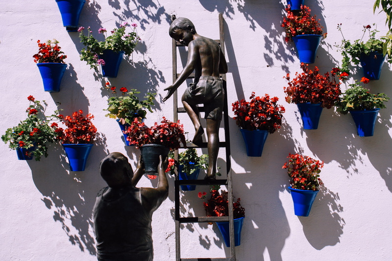 mounted, sculpture, vulnerability, jar, architecture, flower arrangement, boy, rear view, shadow, men, poster, ladder, sunlight, córdoba, flowering plant