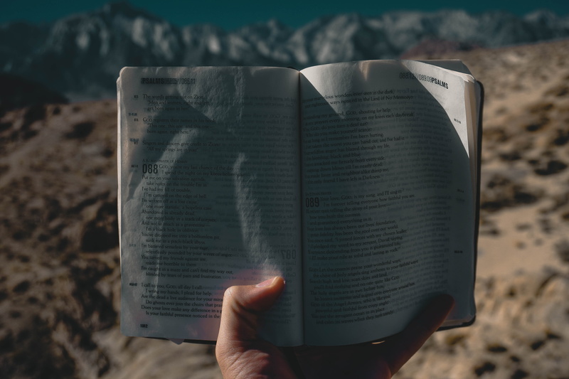 studying, apparel, photo, holding, book, finger, activity, one person, water, glasses, literature, paper, personal perspective, novel, person, jar, reading