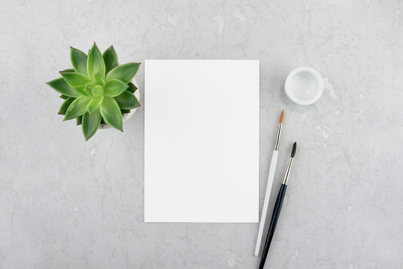 beside, graphics, food and drink, art, succulent, page, plant, pottery, studio shot, jar, leaf, plant part, white, brush, flatlay, porcelain, herbs, glass