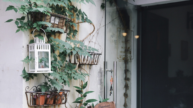 decor, door, plant, growth, open door, leaf, building exterior, pot, vase, no people, plant pot, residential district, architecture, exterior, houseplant