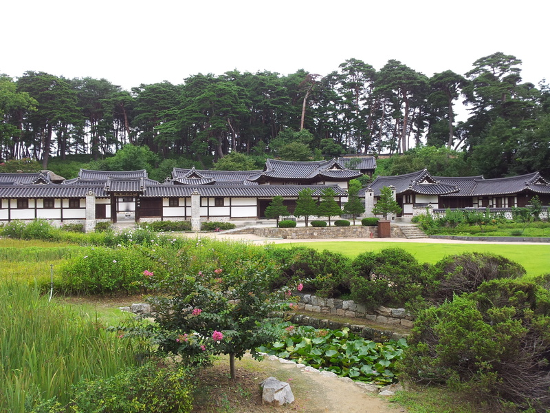Lotus, residential district, scenery, summer, landscape, nature, building, villa, no people, house, formal garden, grass, green color, growth, plant, 2K