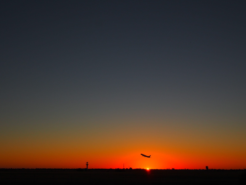 flying, adelaide airport, animal, 4K, australia, no people, animal themes, silhouette, bird, mid-air, tranquil scene, aviation, sunset, south australia