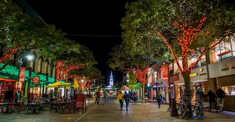 real people, women, nature, plant, sightseeing, tree, street, illuminated, building, crowd, attraction, night, built structure, church street, architecture
