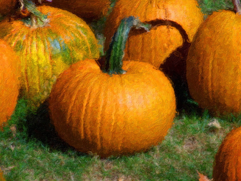 seasonal, plant stem, orange, Painting, harvesting, squash - vegetable, freshness, edible, grass, 2K, background, stems, fall, celebration, green, ripe