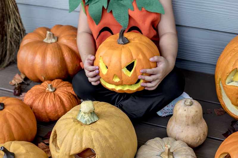 patch, seasonal, halloween pumpkin, festival, front view, autumn, spooky, freshness, child, 5K, one person, person, alone, kid, home, traditional, halloween