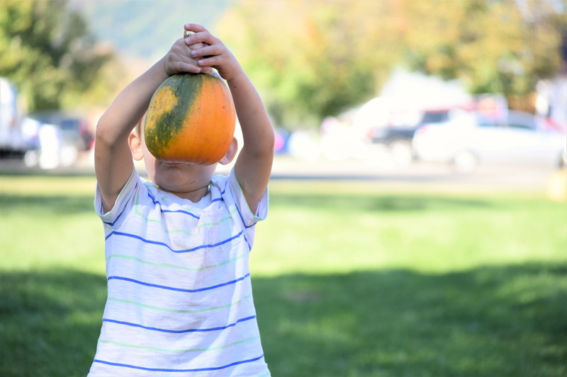 standing, one person, holiday, wellbeing, healthy lifestyle, halloween, 5K, boy, october, males, kid, food, celebrate, casual clothing, healthy eating