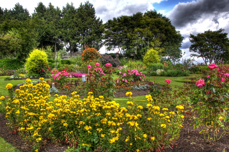 multi Colored, nature, petal, garden, scenics - nature, landscape, wildflower, 2K, summer, flowers, tranquil scene, land, yellow, beauty In Nature, springtime