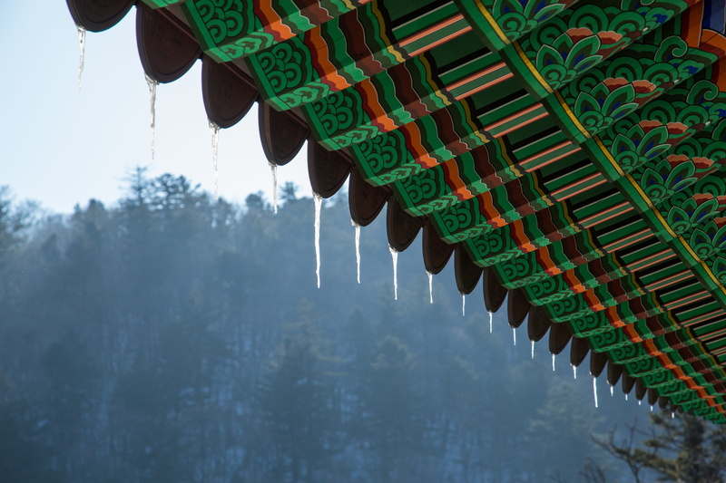 temple, mono, architecture, water, icicle, low angle view, sky, outdoors, decoration, korean traditional, tree, green color, reflection, motion, day, eaves