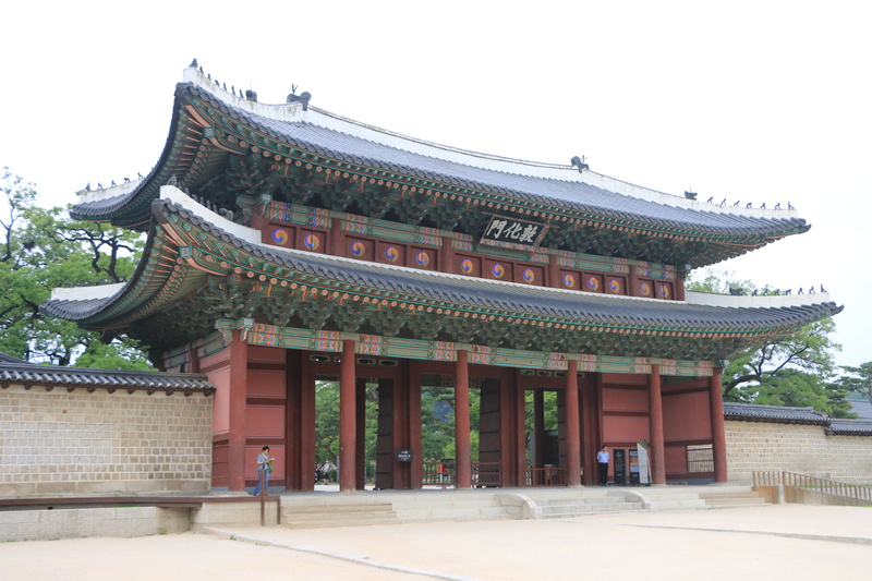 outdoors, history, no people, palaces, donhwamun, tree, belief, courtyard, religion, place of worship, built structure, eaves, 5K, building, travel destinations