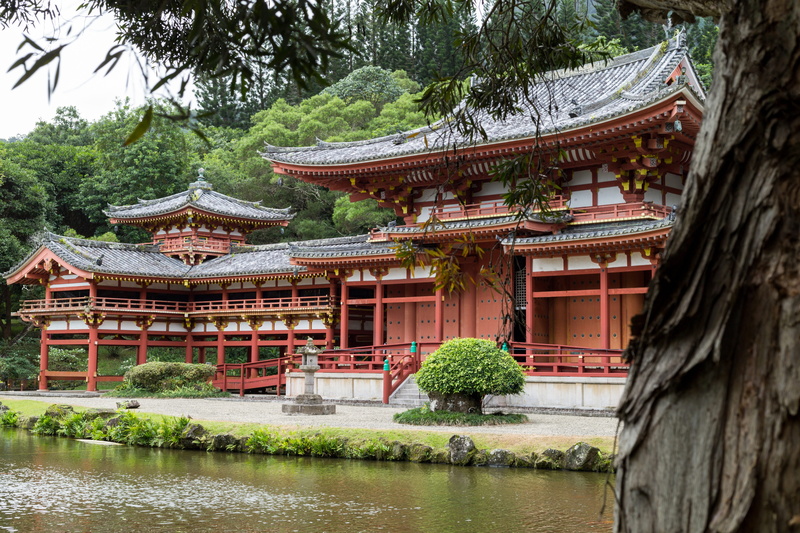 religion, eaves, spirituality, place of worship, ancient, park, temple, no people, colorful, shrine, architecture, byodo in, water, hawaii, tree, japan