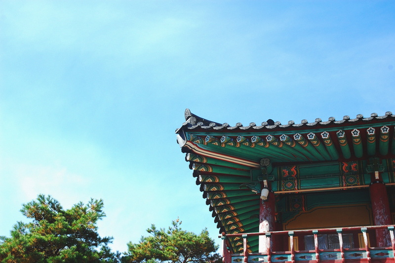 tree, red, brown, 2K, architecture, eaves, ornate, angle, green, low angle view, religion, nature, outdoors, Asian, travel destinations, building, pagoda