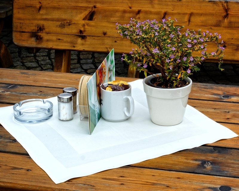 eat, flower pot, glass, 2K, still life, ashtray, household equipment, beverage list, wood - material, nature, meal, indoors, board, flower, table cover