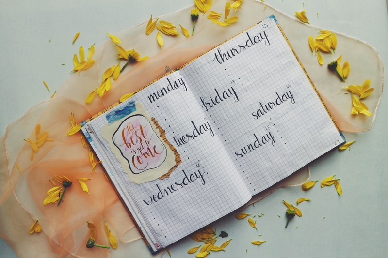 no people, text, surrounded, note pad, close-up, food and drink, to do list, letter, flower, flowering plant, petals, indoors, directly above, yellow, western script