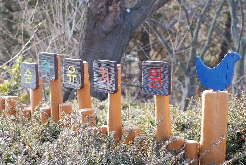 day, text, letter, outdoors, plant, the sky, grass, trails, sign, yeongjongdo, mailbox, number, 1080P, no people, field, communication, tree, sky forest kindergarten