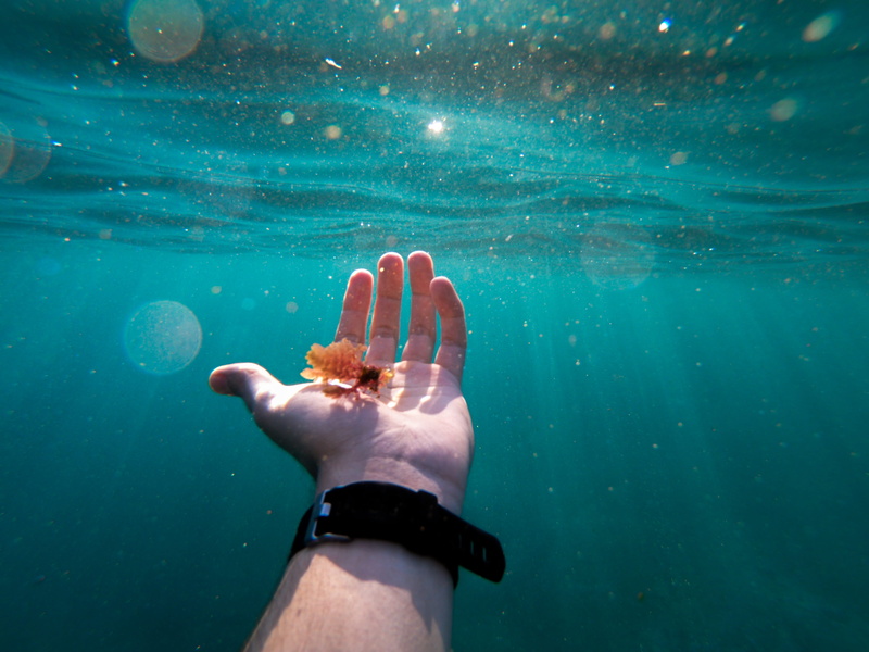 leisure activity, human body part, body part, real people, fish, aqua, lifestyles, watch, water, one person, bubble, close-up, nature, wafe, 4K, gesturing