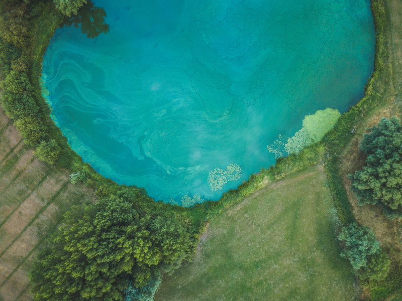 4K, water, blue, warmth, above, algae, grass, harmful, travel, animal, tree, high Angle View, sea, body, weather, lake, surrounded, green, scenics, summer