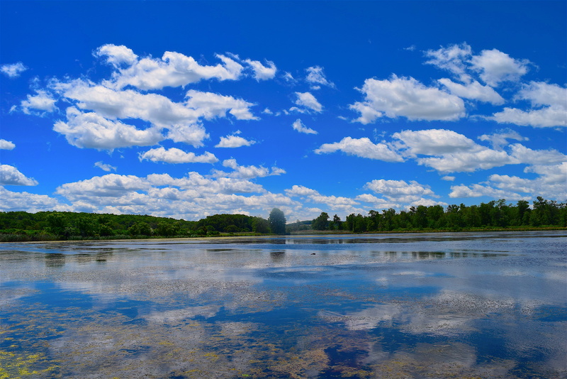 power in nature, color, reflection, green Color, natural, beauty In Nature, Sky, swamp, water, blue, scenic, outdoors, season, day, bright, Lake, lagoon