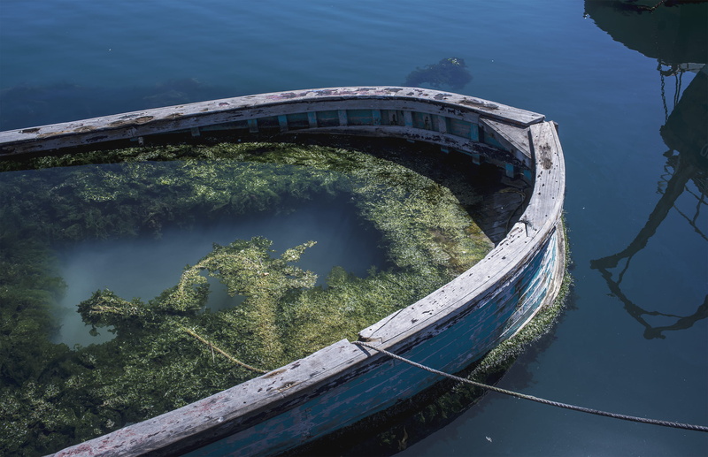 blue, water, outdoors, reflection, nautical vessel, 2K, green, boat, mode of transportation, tree, harbor, river, algae, tranquility, day, nature, transportation