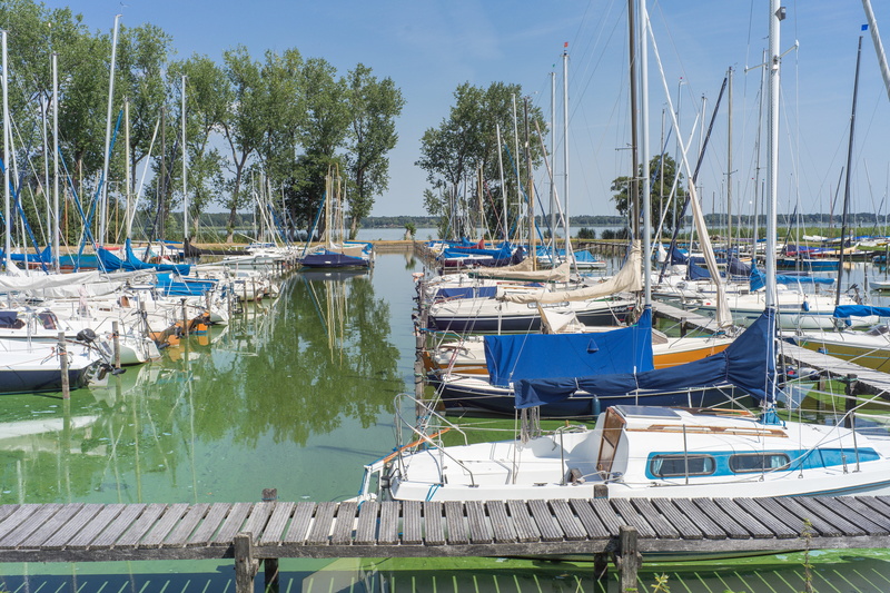 sailing boats, pole, tree, reflection, web, nautical vessel, port, blue, water, sky, ammerland, transportation, 5K, day, sailing boat, mast, harbor, mirroring