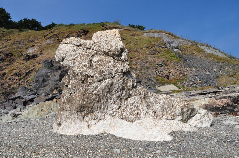 summer, travel, land, beauty in nature, rock formation, geology, rock - object, rock, mountain range, day, plant, fossil rock, nature, environment, 4K