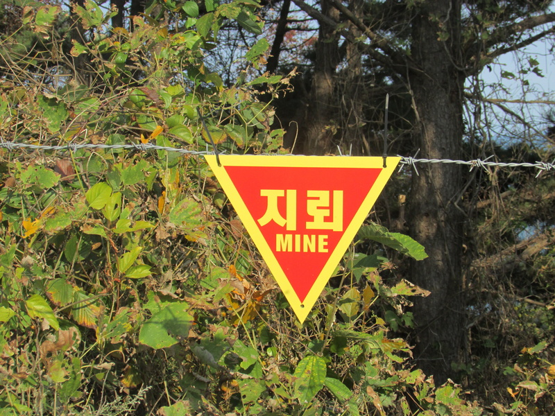 incheon, no people, warning Sign, green color, small global, day, yellow, west sea 5, war, communication, tree, signs, nature, forest, growth, guidance