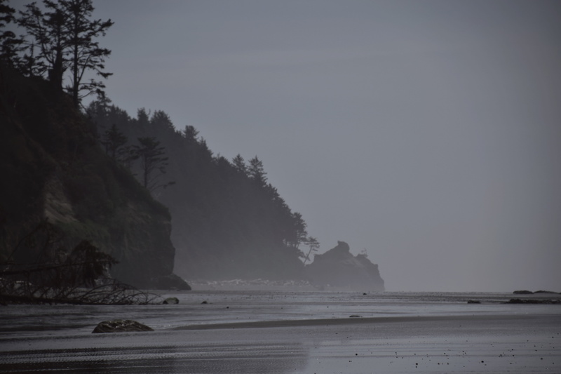 copy space, mist, non-urban scene, ruby beach, water, sky, 5K, forest, lanscape, beach, no people, pnw, tree, beauty in nature, pacific north west, travel