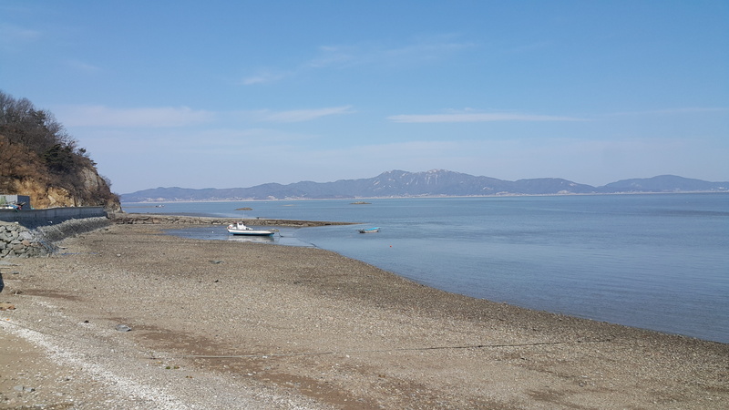 bay, outdoors, beach, seagull, scenics, water, republic of korea, West-Sea, non-urban scene, 5K, travel, jangbongdo, cloud - sky, West Coast, Yeongjongdo