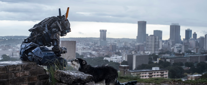Chappie, 2K, I am wonder, I am discovery, I am chappie, The robot named Chappy