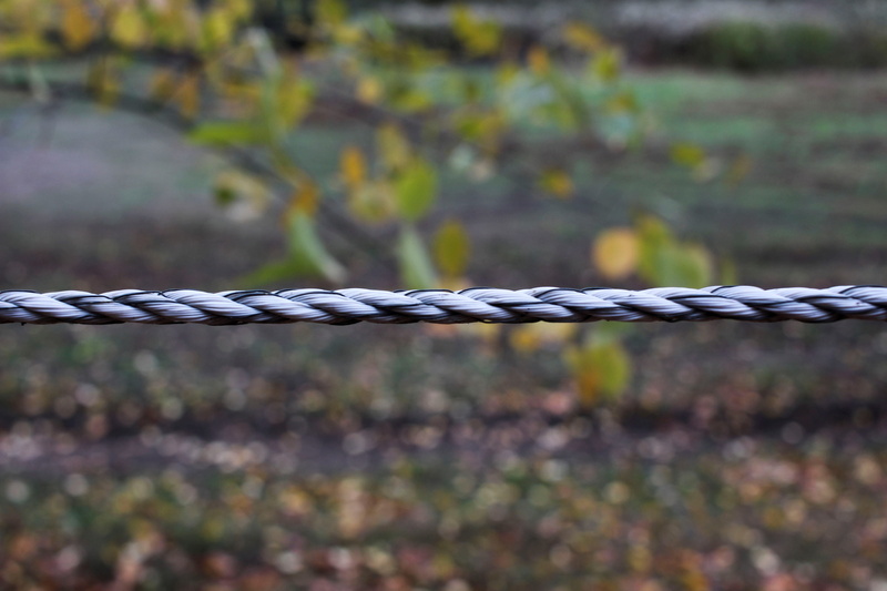 5K, selective focus, pattern, wire, connection, focus on foreground, day, rope, no people, fence, close-up, close up, environment, autumn, power fence