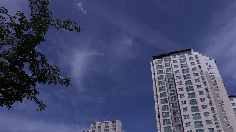 plane, korea, air, the noonday, design, cloud - sky, south, tree, apartments, these people, pollution, skyscraper, sunshine, window, homes, season, architecture