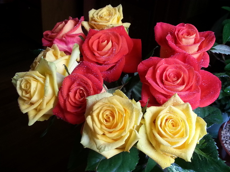 bunch of flowers, 2K, rose - flower, multi colored, buds, indoors, black background, bouquet, flower, vulnerability, flower arrangement, flowers, inflorescence