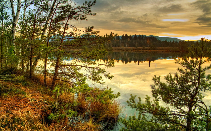 1080P, wilderness Area, sunlight, colors, autumn, dusk, panoramic, outdoors, sunset, woodland, cloud - Sky, blue, land, clouds, reflection, leaf, lake