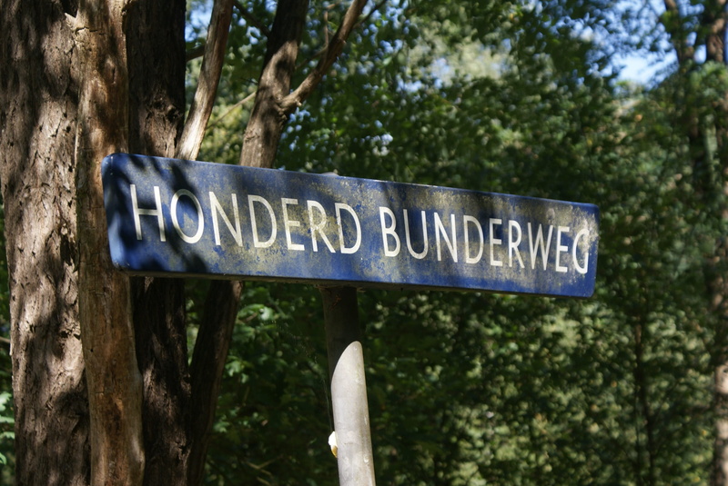 guidance, text, message, sign, information, reserve, wood - material, nature, board, close-up, surea, information sign, day, forest, western script, focus on foreground
