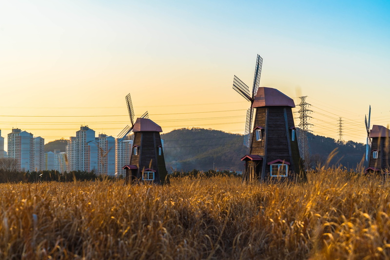 field, glow, outdoors, sunset, fuel and power generation, heaven, agriculture, nature, environment, scenery, travel, grass, environmental conservation