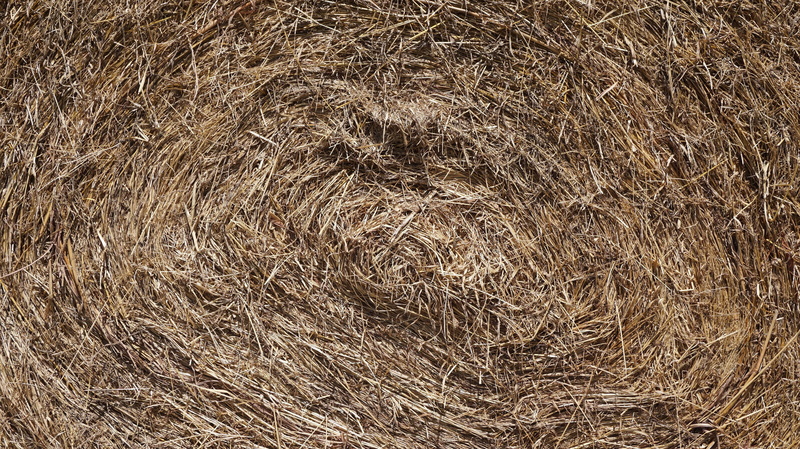 barn, rice straw, high angle view, no people, views, agriculture, plant, farm, dry grass, close-up, 2K, bale, day, brown, field, a pile of grass, nature