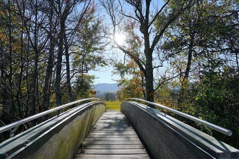 diminishing perspective, bridge, wintry, leaf, outdoors, rest, sun, tranquility, pasture, meadow, transportation, swiss, greifensee, path, plant, holidays