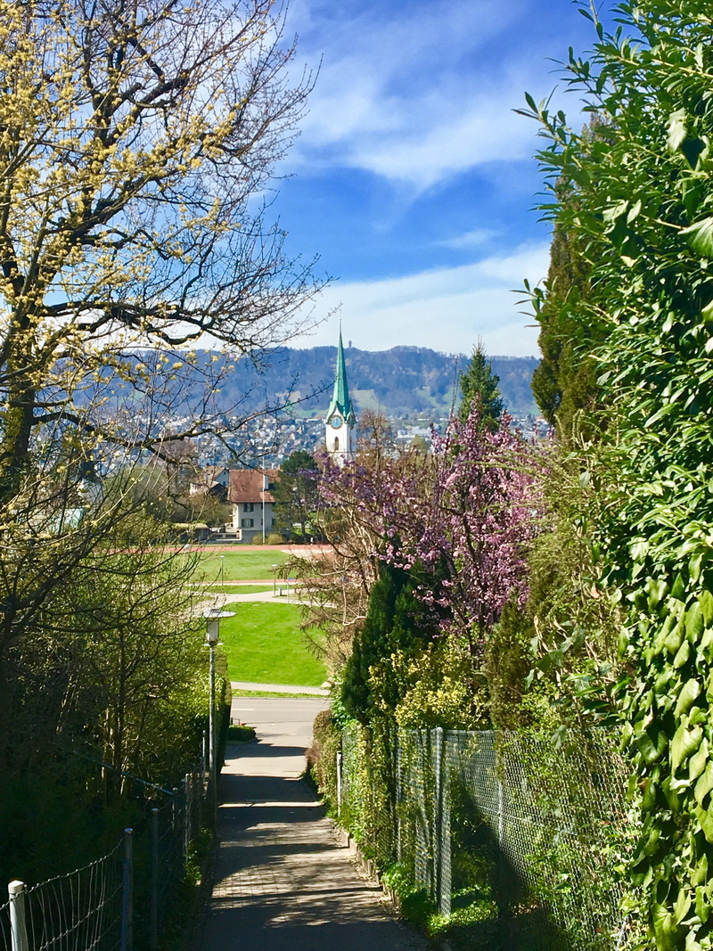 school, grass, spirituality, travel, spring, tree, road, spire, leaf, sky, recovery, travel destinations, away, day, garden, building exterior, season