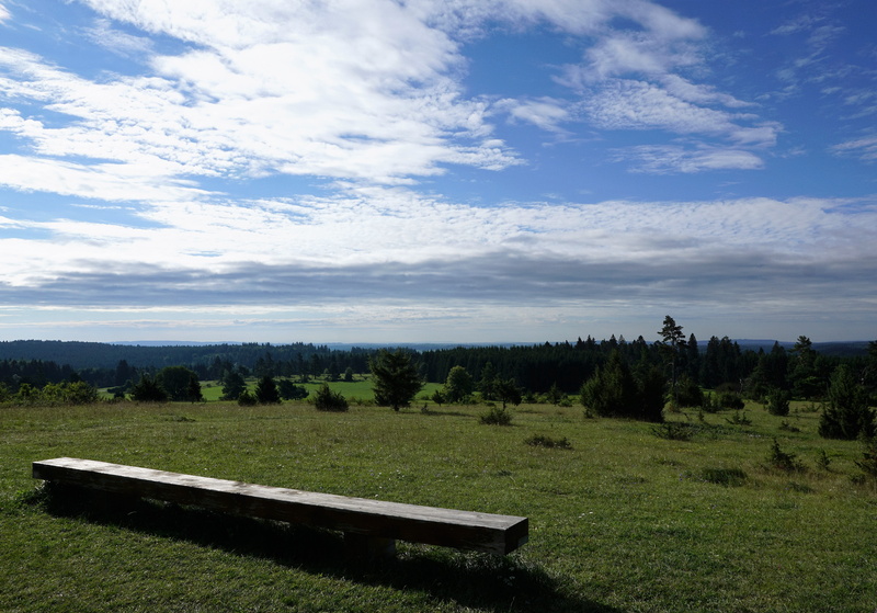 wood, green, blue, tree, holiday, holidays, summer, horizon, relaxation, land, tuttlingen, nature, seat, green color, environment, away, bank, hill, germany