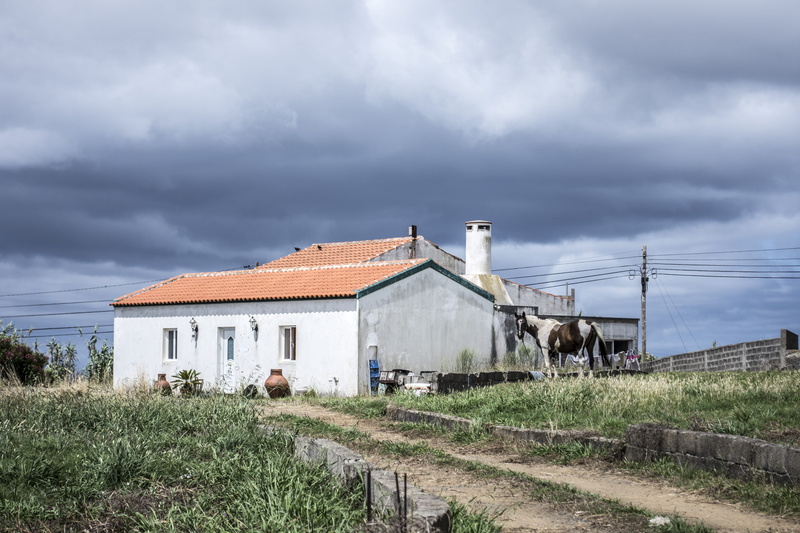 environment, landscape, countryside, farmland, scenic, sky, cloud - sky, plant, outdoors, no people, grass, agriculture, residential district, rural scene