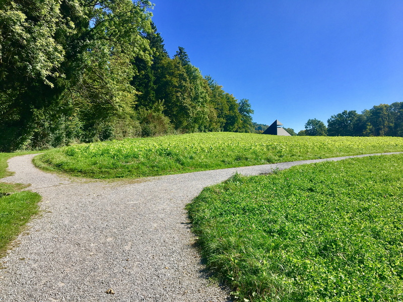 plant, hill, sun, hike, field, zollikon, grass, summit, growth, autumn, blade of grass, sunlight, tranquil scene, landscape, alpine, away, garden path