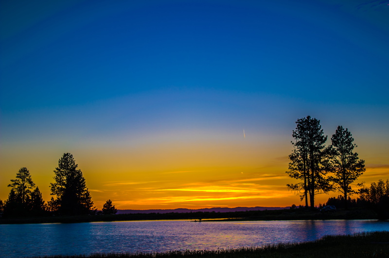 coniferous tree, idyllic, nature, lakeside, 5K, sunrise, horizon, scenics - nature, landscape, silhouette, tranquil scene, outdoors, plant, non-urban scene