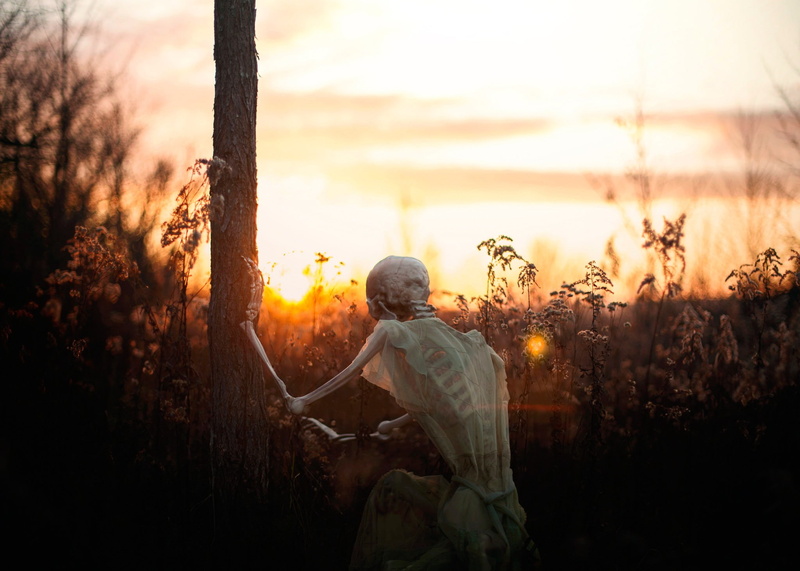 nature, skeleton, sunset, 1080P