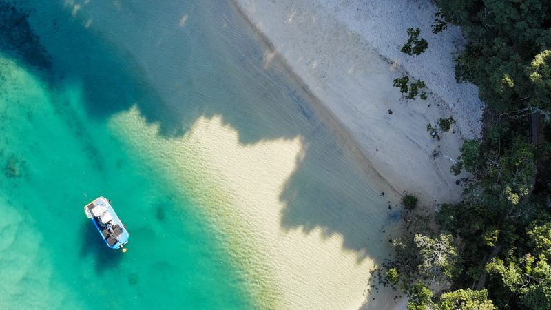 sand, 2K, produce, high angle view, bird, seashore, burleigh heads national park, drove view of sea, near, travel destinations, forest, outdoors, aerial view
