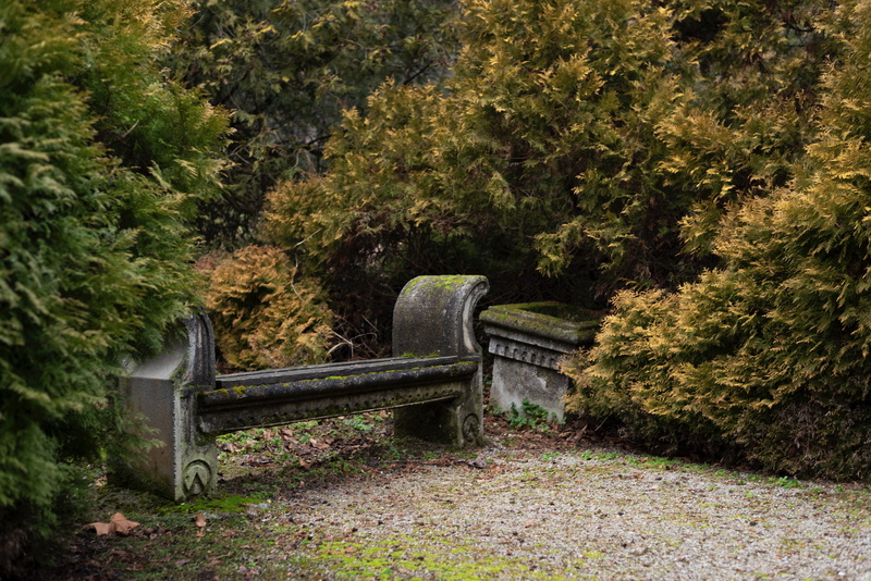 change, footpath, no people, relax, foliage, growth, tranquility, idyllic, green, alone, plant, leaves, grass, land, park bench, autumn, tree, 5K, lush foliage