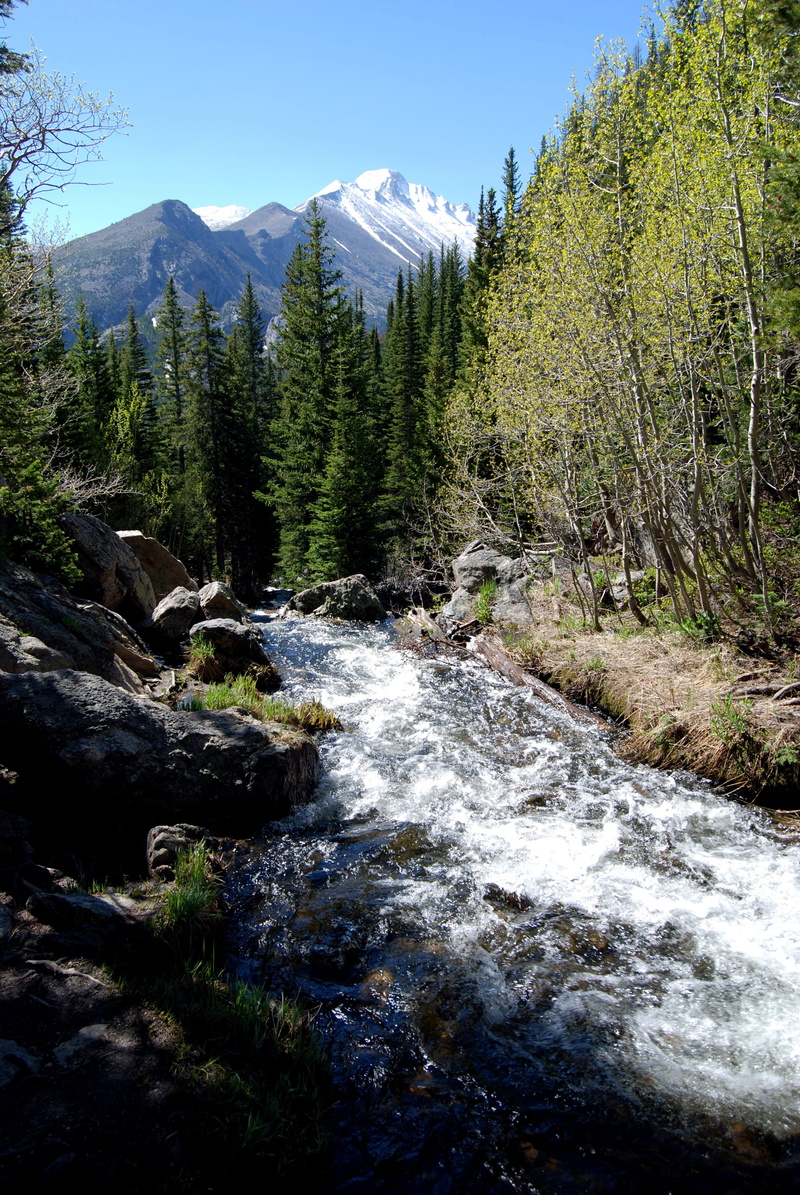 no people, flowing water, sky, flowing, forest, land, outdoors, scenics - nature, river, tranquility, dream lake trail, environment, plant, growth, tree