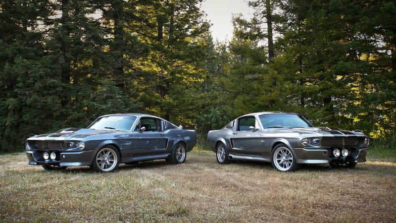 non-urban scene, land, ford mustang gt 500, plant, classic car, no people, road, nature, car, silver colored, forest, motor vehicle, mode of transportation