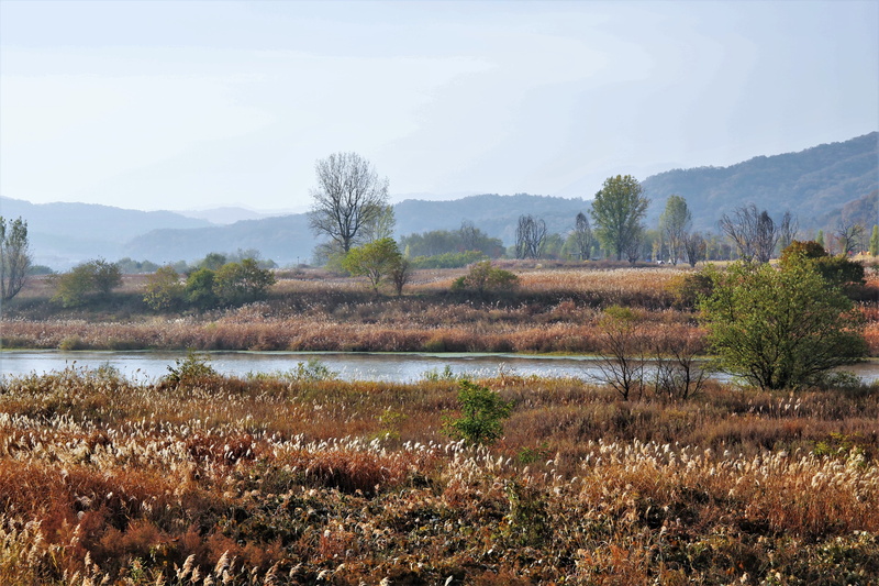 nature, water, in autumn, day, beauty in nature, land, tranquility, sky, the korean countryside, grass, no people, mountain, environment, outdoors, tree